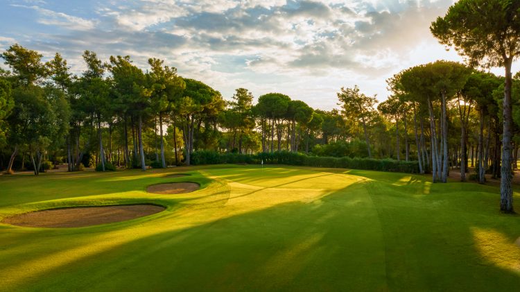Antalya, Belek - 5* Gloria Serenity Hotel Resort - All Inclusive Packages! - Image 9