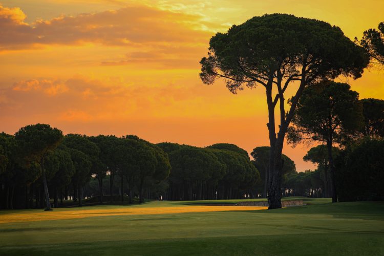Antalya, Belek - 5* Gloria Serenity Hotel Resort - All Inclusive Packages! - Image 16
