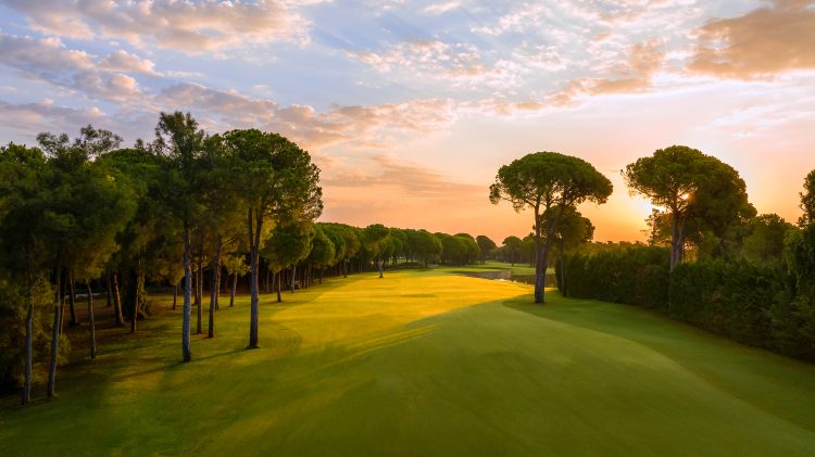 Antalya, Belek - 5* Gloria Serenity Hotel Resort - All Inclusive Packages! - Image 17