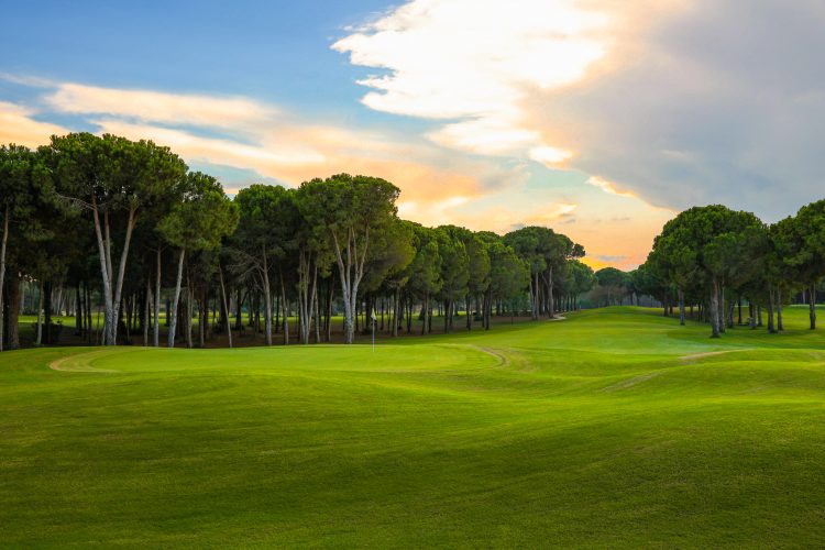Antalya, Belek - 5* Gloria Serenity Hotel Resort - All Inclusive Packages! - Image 18