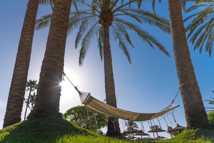 Fuerteventura, 4* Elba Sara Beach & Golf Resort - 4 Nights & 3 Rounds HB - Prices From £379pp! - Image 5