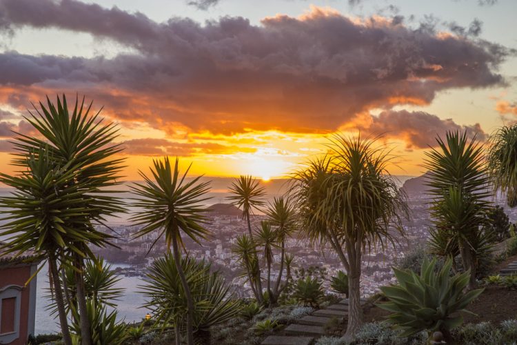 Madeira, 4* Palheiro Village Golf, Gardens & Spa - Prices from £159pn! - Image 10