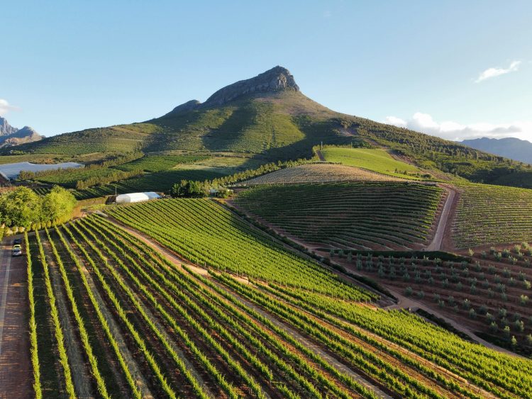South Africa, Cape´s Greatest Hits Golf Tour (Simola) - Prices From £2199pp! - Image 26