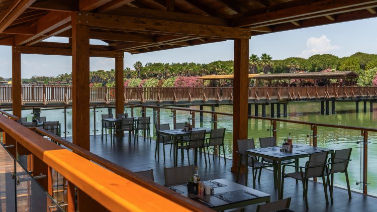 Antalya, Belek, 5* Gloria Golf Hotel Resort - All Inclusive Packages! - Image 15